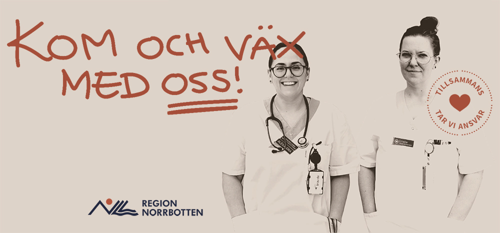 Norrbotten annons vt24