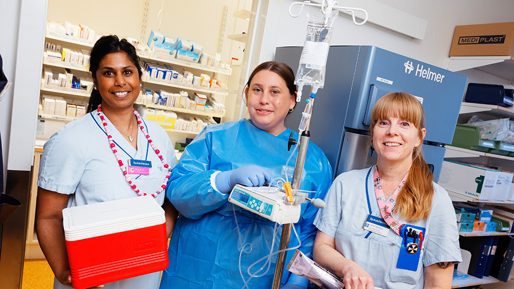 En av flera anledningar till att Maria Nordahl, Victoria Malm och Carola Aberkane trivs är den goda stämningen på kliniken. Foto: David Brohede